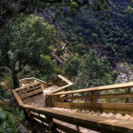 Casa Do Gaio-Turismo De Natureza อาโรว์กา ภายนอก รูปภาพ