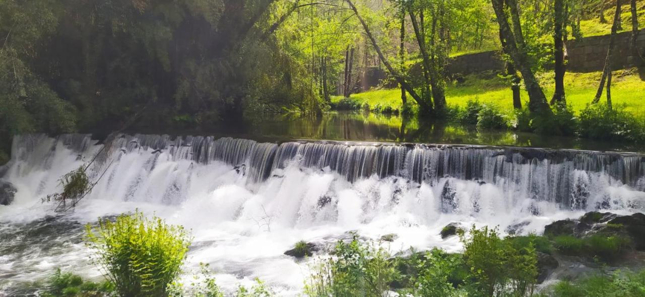 Casa Do Gaio-Turismo De Natureza อาโรว์กา ภายนอก รูปภาพ