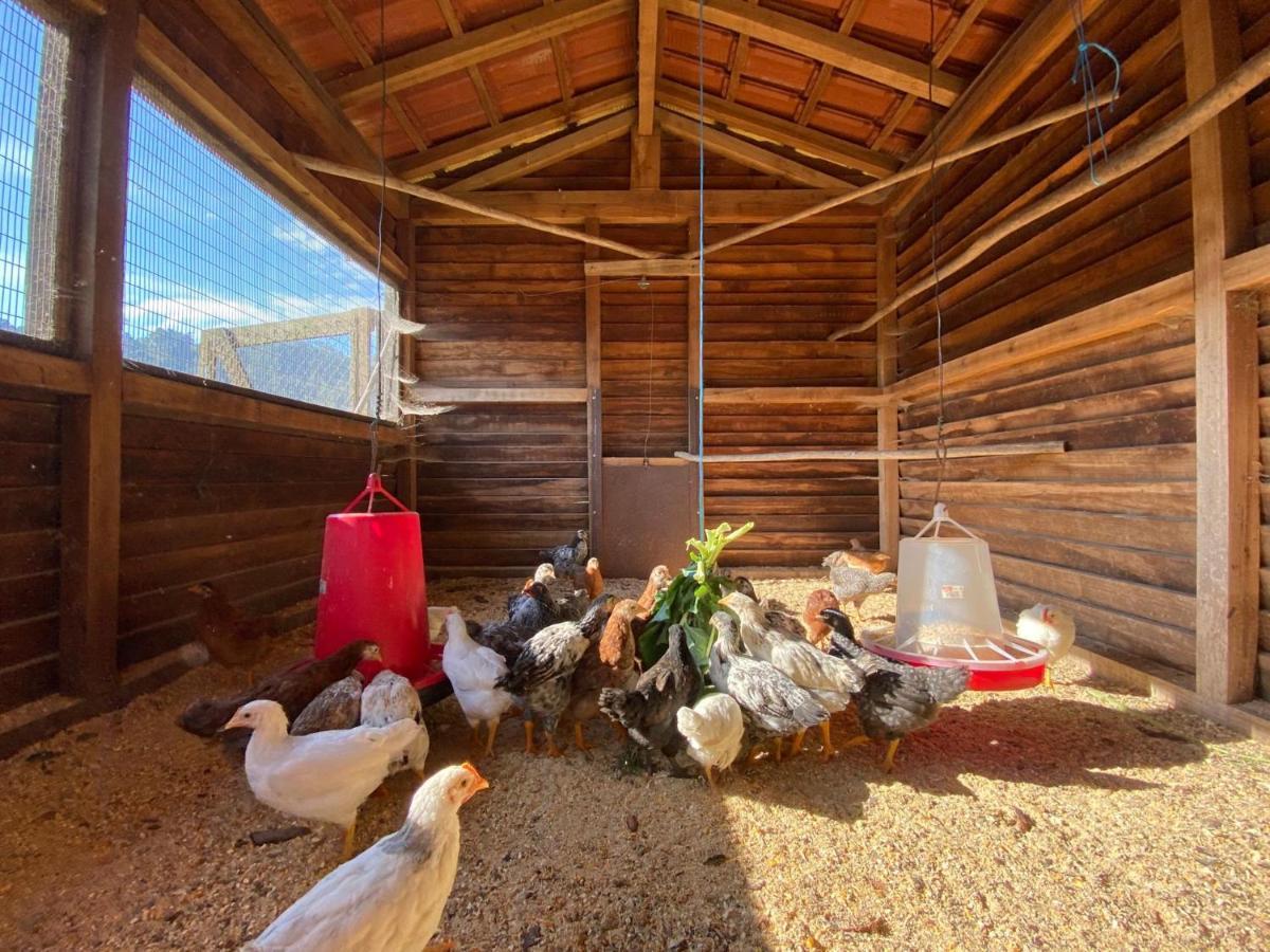 Casa Do Gaio-Turismo De Natureza อาโรว์กา ภายนอก รูปภาพ